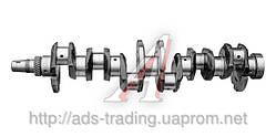 Вал колінчастий Д 260 (пр-во ММЗ)