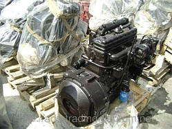 Двигун Д245.9-336