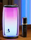 Акустика портативна Infinity Disney MK1 Black + 1 караоке-мікрофон, фото 4