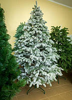 Ковалівська Заснеженная  2.10м