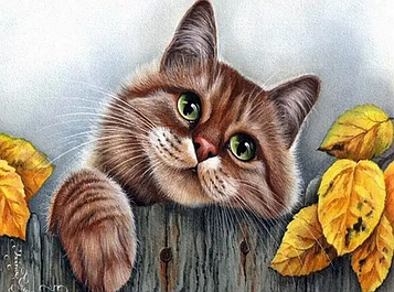 Алмазна мозаїка на підрамнику картина стразами 40х50 см DIY Кіт (SGLE 71274 - F)