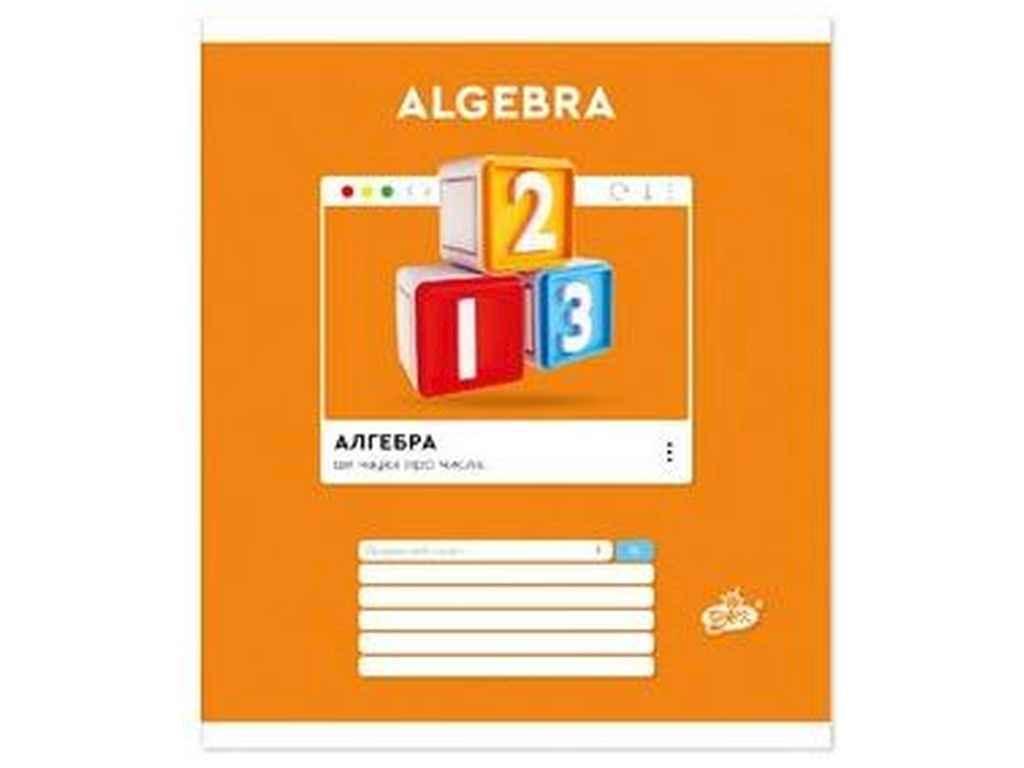 Зошит в клітку 48арк. 10шт/уп оф.Предметная ТВ-42 №11 ТМ БРІСК FG