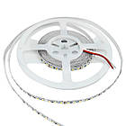 Світлодіодна стрічка BIOM Professional BPS-G3-24-2835-120-WW-20 теплий білий, негерметична, 1 м, фото 2