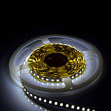 Світлодіодна стрічка Venom SMD 2835 120д.м. nano холодно-біла (IP67) Premium (VP-2835121201-CW) Холодно-білий, фото 3
