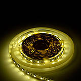 Світлодіодна стрічка Venom SMD 5050 60 д.м. негерметична (IP33) Premium нейтрально-біла (VP-5050120600-NW), фото 2