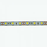 Світлодіодна стрічка Venom SMD 5050 60 д.м. негерметична (IP33) Premium тепло-біла (VP-5050120600-WW1), фото 4