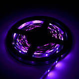 Світлодіодна стрічка Venom SMD 5050 60 д.м. негерметична (IP33) Premium RGB (VP-5050120600-RGB) RGB, фото 2