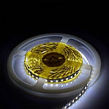 Світлодіодна стрічка Venom SMD 2835 120д.м. негерметична (IP33) Premium біла (VP-2835121200-W) Білий, фото 3