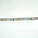 Світлодіодна стрічка Venom SMD 2835 60д.м. негерметична (IP33) Premium холодно-біла (VP-2835120600-CW), фото 3