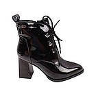 Ботильйони жіночі Stefaniya nina чорні, 40, фото 3