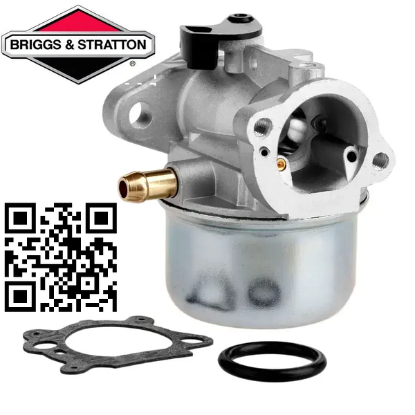 Briggs Stratton Solo Oleo Mac Pubert RM60B 799868 799872 498170 498254 497586 00030002739