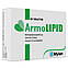 ArmoLIPID, АрмоЛіпід, 60 шт Таблетки від підвищеного холестерину, фото 3