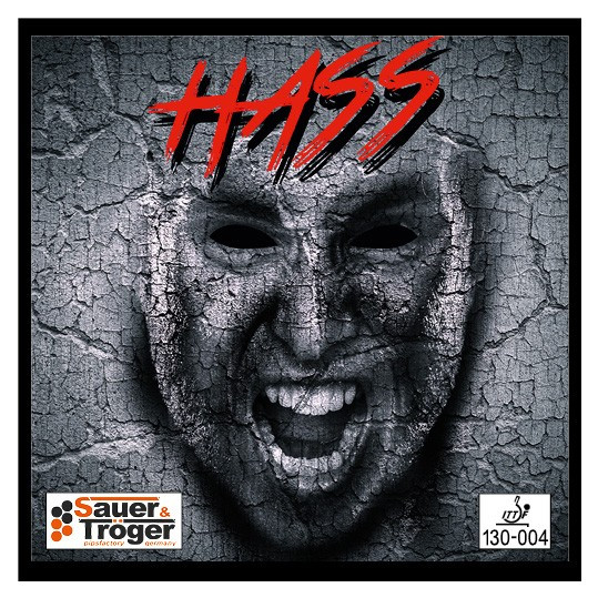 Sauer Tröger Hass
