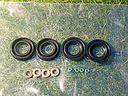 Ремкомплект сальник паливної форсунки Ford Citroen Peugeot 2.2 HPi CDTi, фото 2