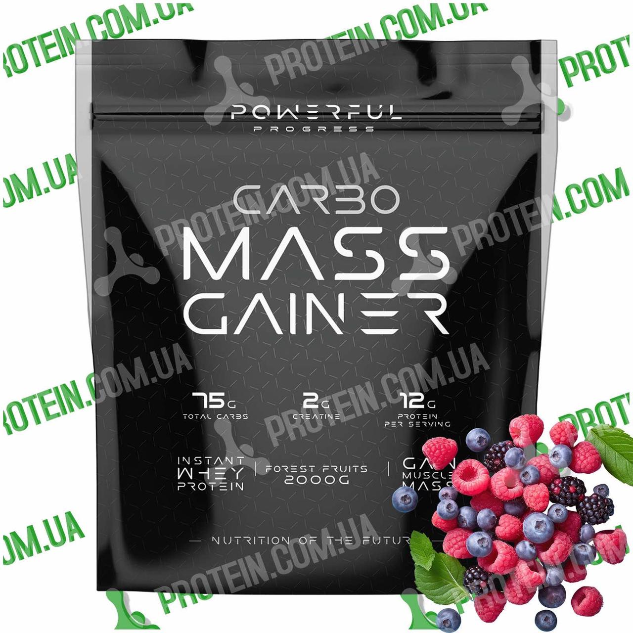 Гейнер Високовуглеводний Powerful Progress Carbo Mass Gainer 2000 г Forest Fruits Лісові Ягоди