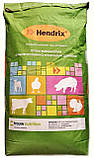 Добавка БМВД для свиней Hendrix Бінго 10-110 кг 25-15-10%, фото 3