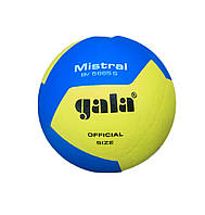 Мяч волейбольний GALA mistral 10 bv5661s