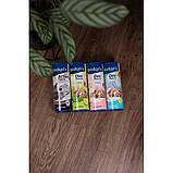 Дезодорант для котячого туалету Biokat's DEO Cotton blossom 700 г, фото 5
