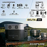 Зарядна станція EcoFlow DELTA mini, фото 6