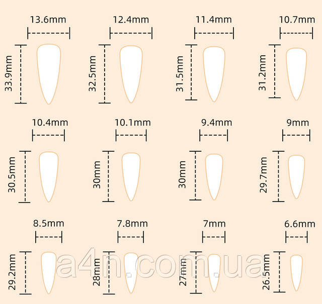 Накладные ногти - Интернет-магазин A4N Размеры накладных ногтей