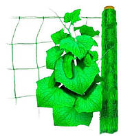 Сітка для огірків "Україна" 1.7х500м. Огіркова сітка.