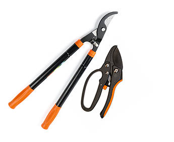 Набір садових інструментів Polax сучкоріз телескопічний 560-730 мм і секатор із храповим механізмом (770-23)