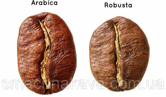 купити каву оптом недорого в інтернет магазині Смачна Кава