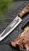 Petromax Ніж кухонний Petromax Utility Knife 14 см, фото 10
