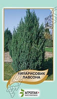 Семена Кипарисовик Лавсона 0,1 грамм Агропак