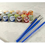 Картина за номерами квіти дівчина Магія пелюсток з фарбою металік 40х50 картини за номерами золото BS54009 BrushMe, фото 5