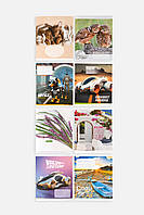 Тетрадь в клетку 12 листов цвет разноцветный ЦБ-00255153