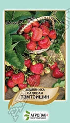 Насіння Полуниця садова Темтейшин 50 насінин Агропак