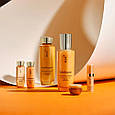 Косметичний набір з концентрованим женьшенем Sulwhasoo Concentrated Ginseng Anti-Aging Daily Routine, фото 11