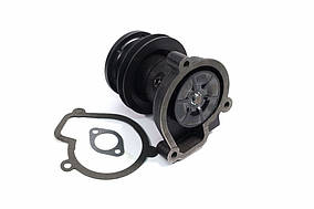 Насос водяний Д 240, Д 243 Professional (RIDER) 240-1307010-А-03 PRO