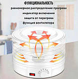 Сушарка для овочів та фруктів 1200Вт BITEK BT-6800, фото 2