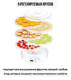 Сушарка для овочів та фруктів 1200Вт BITEK BT-6800, фото 5