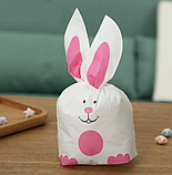 Пакет дитячий поліетиленовий з малюнком Зайчик рожеве черевце 10 шт 26х15.5 см з вушками зав'язками, фото 2