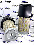 Фільтр повітряний P181063, D46424300, 1042412M91, 1042416M91, 42522, C18436, AZ25868, AZ20625,  E574L, фото 2