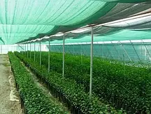 Сітка затінювальна Agreen Темно-зелена 40% 3м х 100 м Тіньова сітка для саду