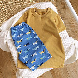 Літній костюм для хлопчика футболка з шортами