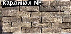 Кардінал NF 250х120х65мм