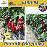 Перець Капія, Ліра F1, ТМ  Spark Seeds (США), 500 насінин, фото 3