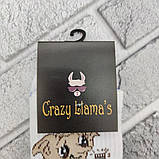 Шкарпетки високі весна/осінь Crazy Lama (222-78) Доббі Туреччина нар. 37-40 НМД-0510786, фото 4