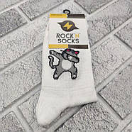 Шкарпетки високі весна/осінь Rock'n'socks 455-14 Деб Кот Україна one size (37-40р) НМД-0510837, фото 3
