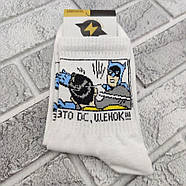 Шкарпетки високі весна/осінь Rock'n'socks 555-09 Бетмен та Робін Україна one size (37-44р) НМД-0510833, фото 3