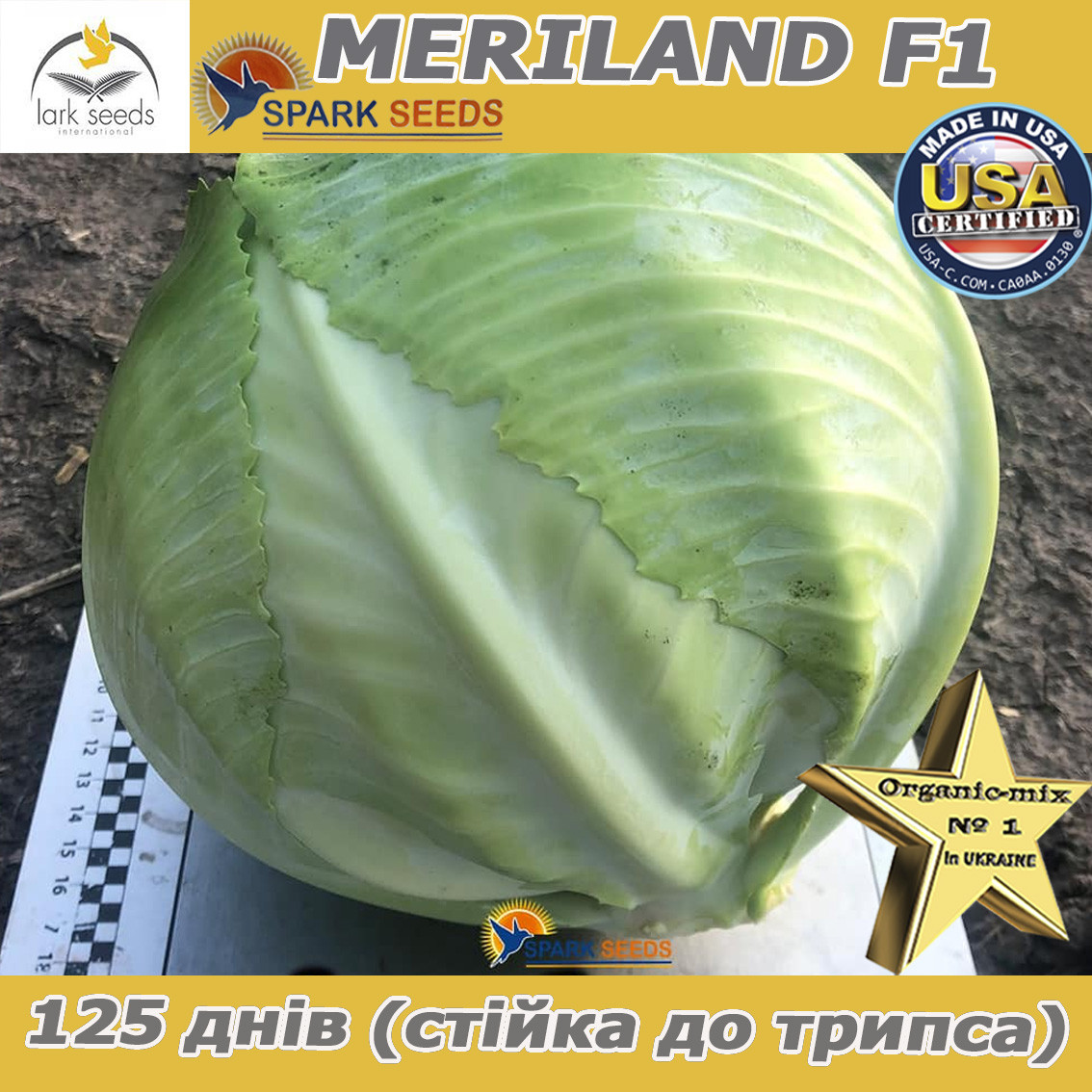 Капуста пізня МЕРІЛЕНД F1 / MERILAND F1, ТМ Spark Seeds (США), 2500 насінин