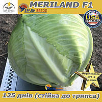 Капуста пізня МЕРІЛЕНД F1 / MERILAND F1, ТМ Spark Seeds (США), 2500 насінин