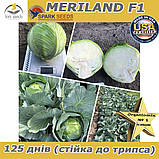 Капуста пізня МЕРІЛЕНД F1 / MERILAND F1, ТМ Spark Seeds (США), 2500 насінин, фото 2