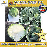 Капуста пізня МЕРІЛЕНД F1 / MERILAND F1, ТМ Spark Seeds (США), 2500 насінин, фото 4