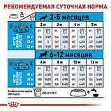 Royal Canin Maxi Puppy Роял Канін максі паппі для цуценят великих порід, 15 кг, фото 3